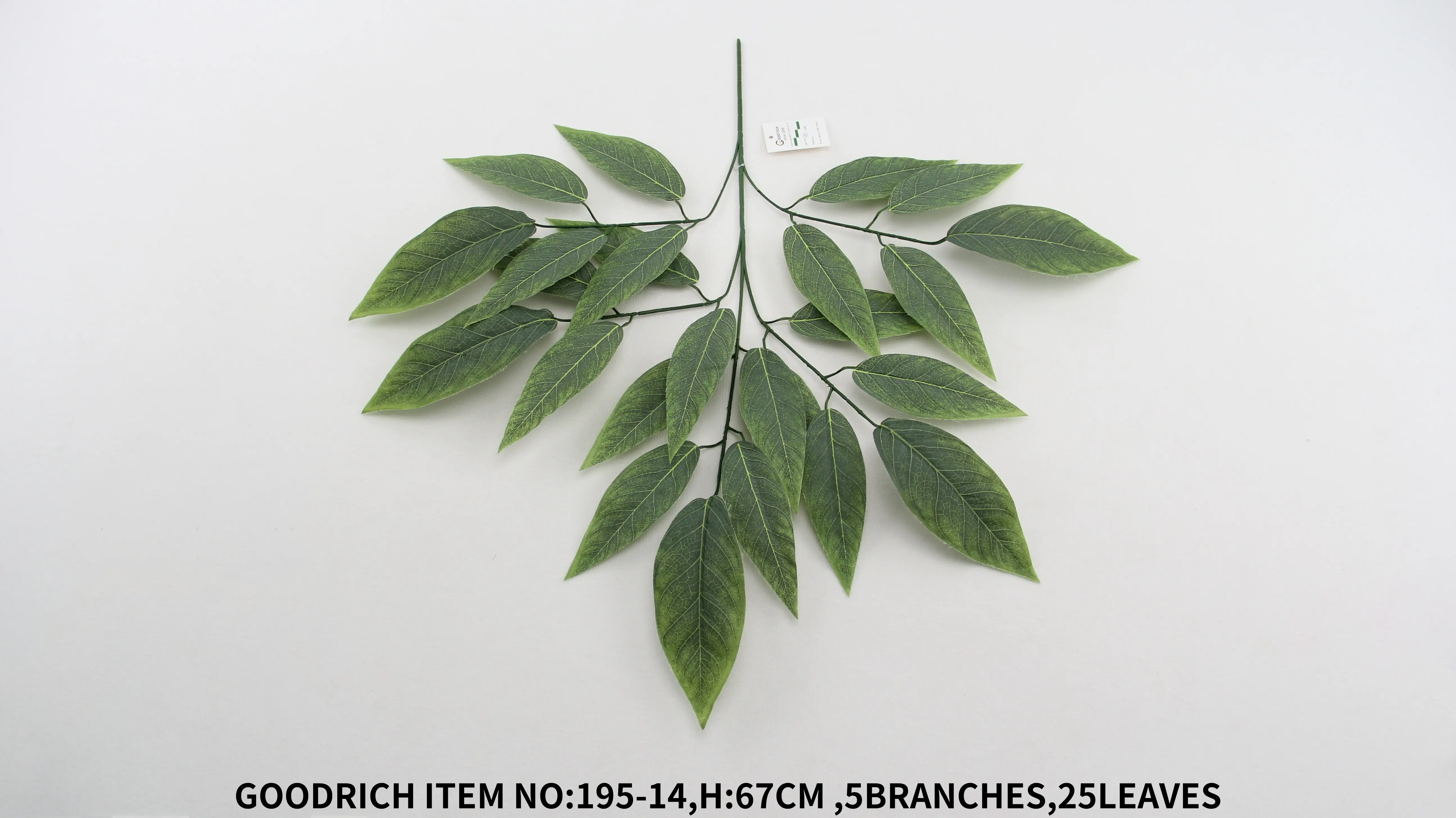 Leaves 195-14