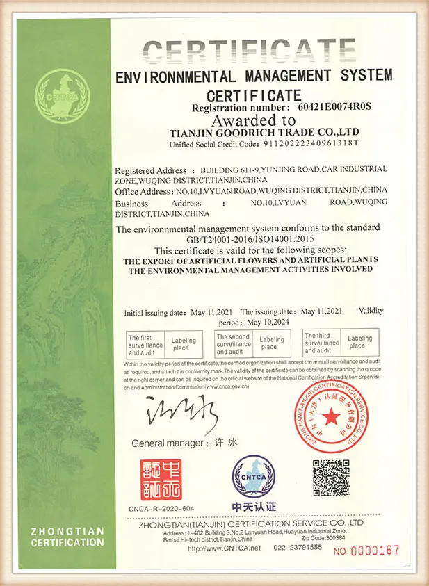 Certificate 1