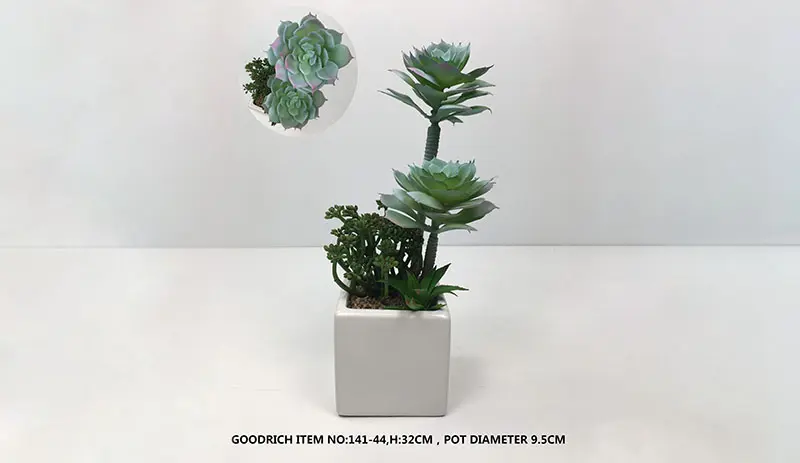 Pot Flowers: Essential Maintenance Ti...